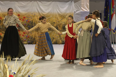 Folklorni festival 23 Foto Ljubo Vukelič